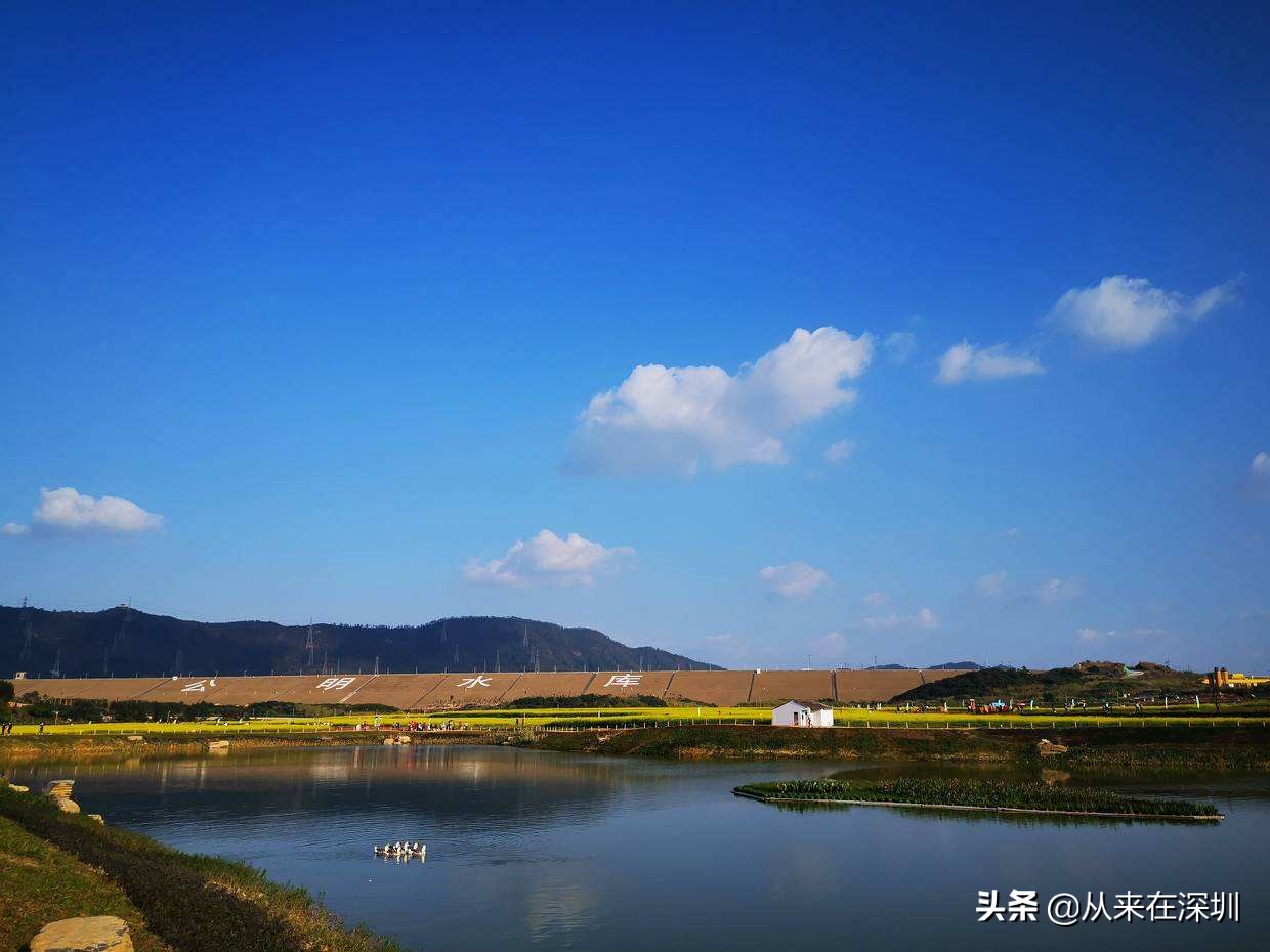 春節旅遊深圳免費景點