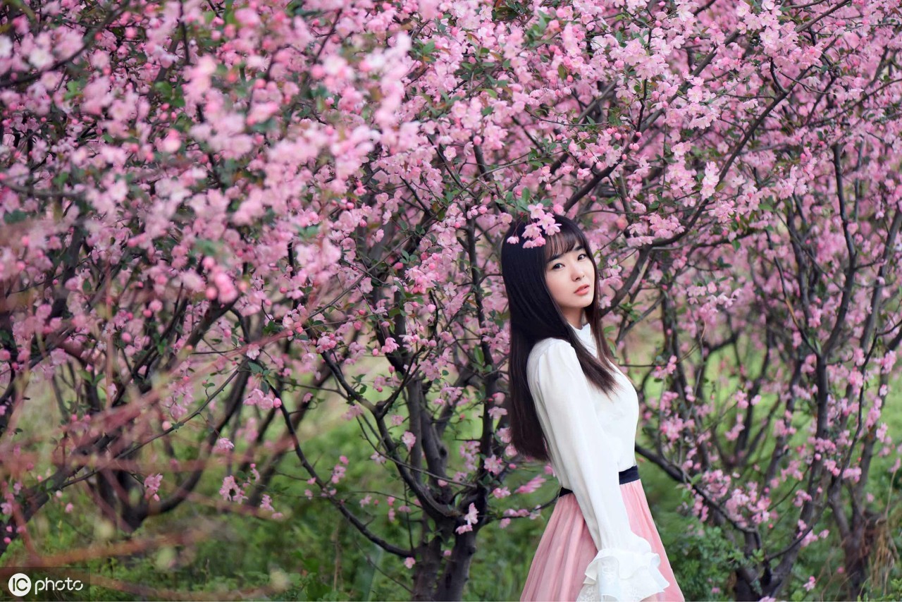 夸春天景色别再说"哇!好美!"了,看看写尽春日美景十七首唐诗