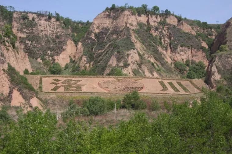 都是小小苹果，为啥洛川苹果不愁卖？