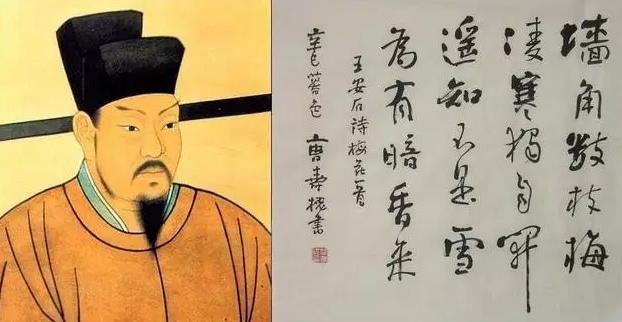 王安石因这首词被苏轼称为野狐精 李清照却说王安石填词是个笑话