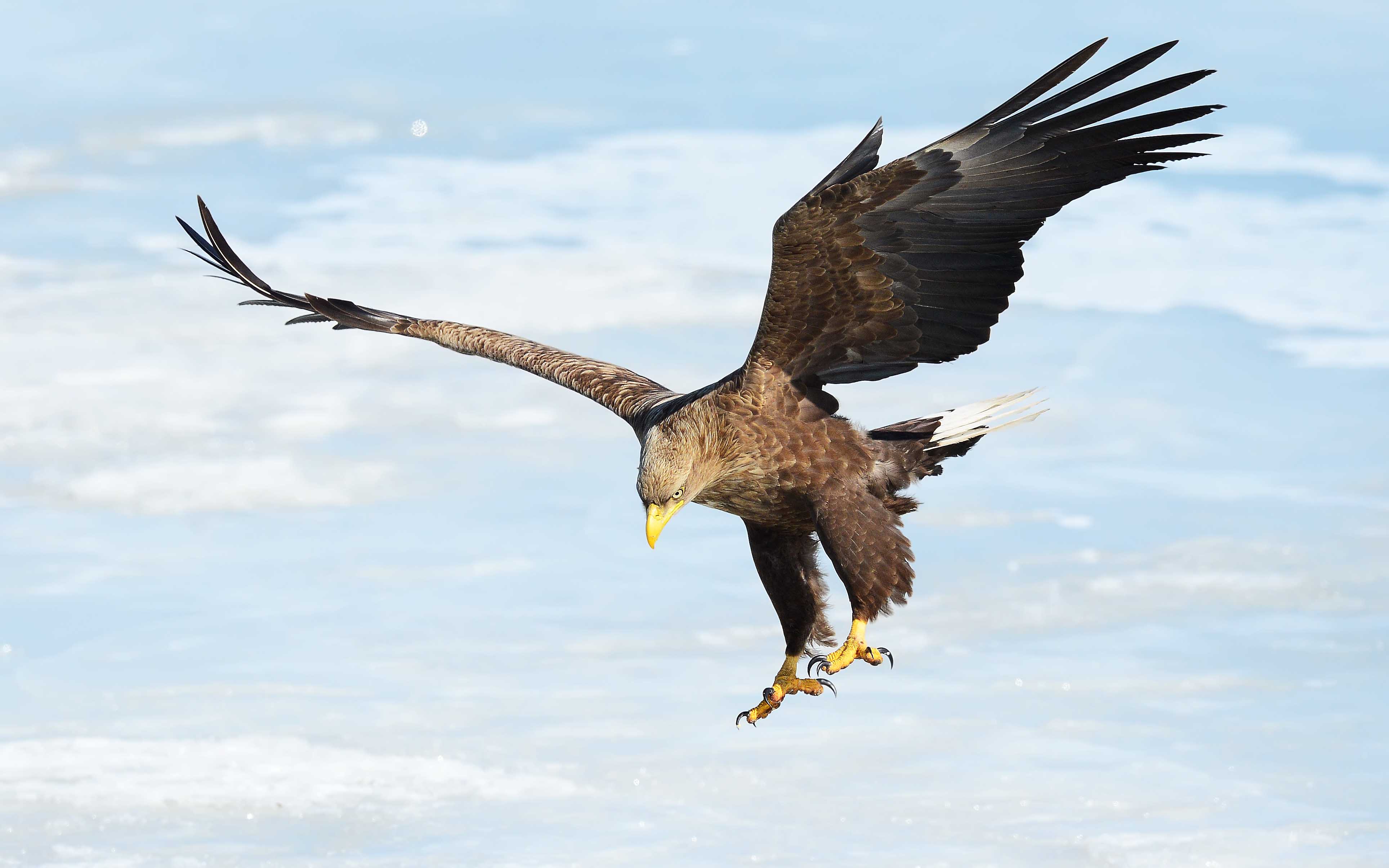 战国信陵君是什么样的人_信陵指的是战国时期的魏国公子信陵君 - 云林