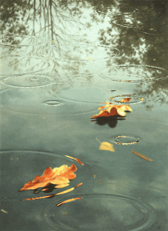秋雨微凉，35句诗词，带你看尽秋雨之美