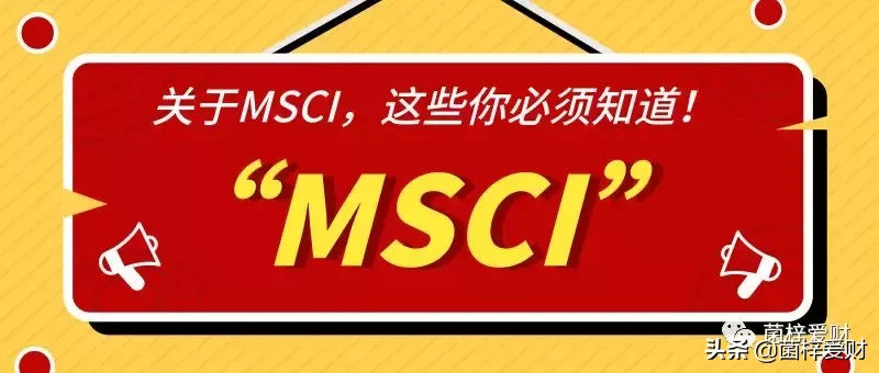 MSCI扩容A股，你却还不知道MSCI是啥意思？