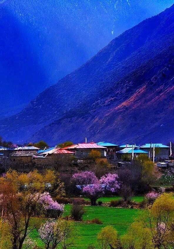春天林芝风景图片高清_林芝桃花节旅游线路 - 密云旅游