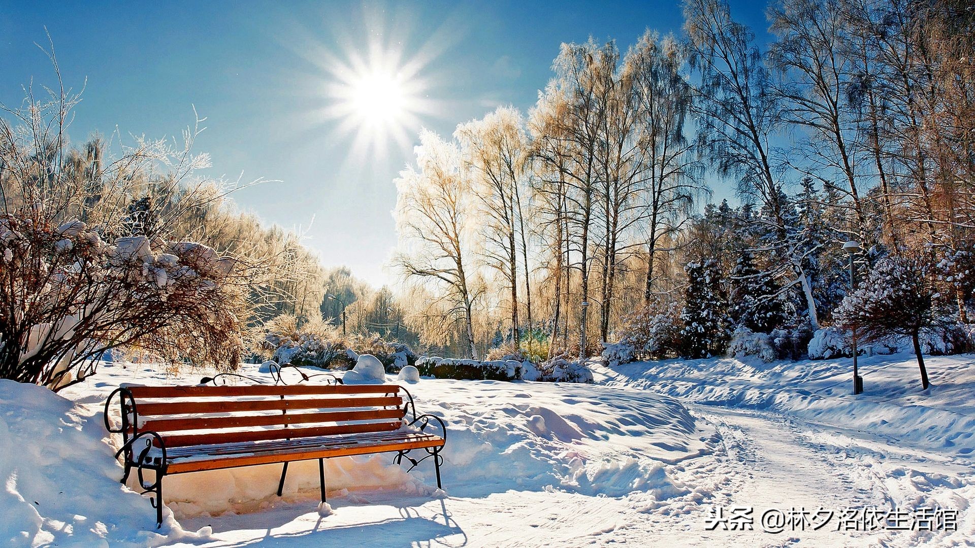 27个温暖的初雪句子，希望一路可以陪你走过寒冬，直到暖风过境！