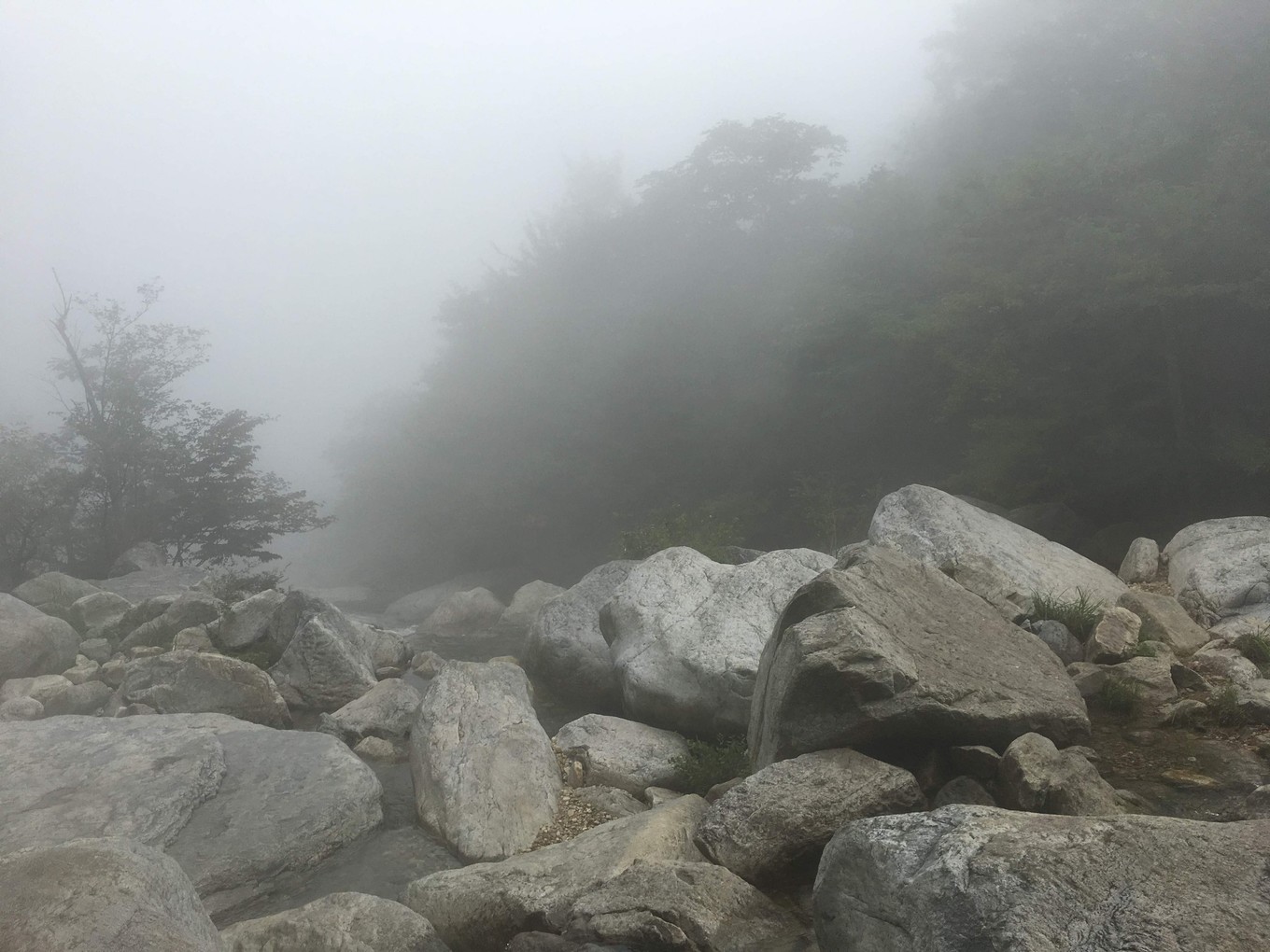 烈日+云雾，庐山东线（三叠泉）