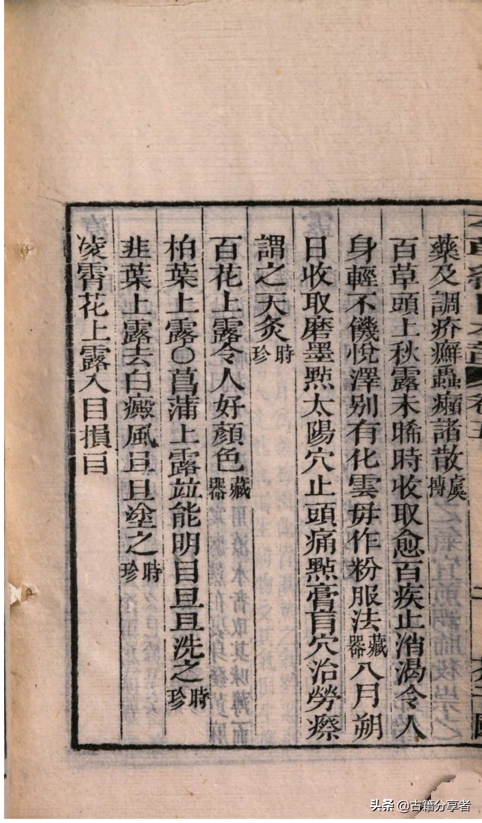 本草纲目中医世家_中国中医古籍总目在线阅读