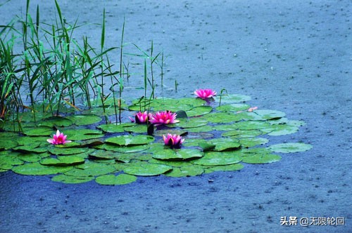 满天梅雨是苏州：5首优美的梅雨诗词
