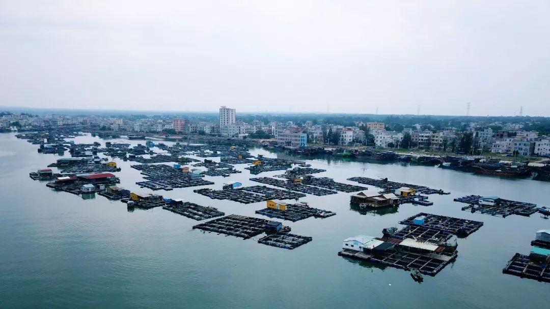 雷州半岛有什么好玩的地方_雷州半岛风景图片 - 密云旅游