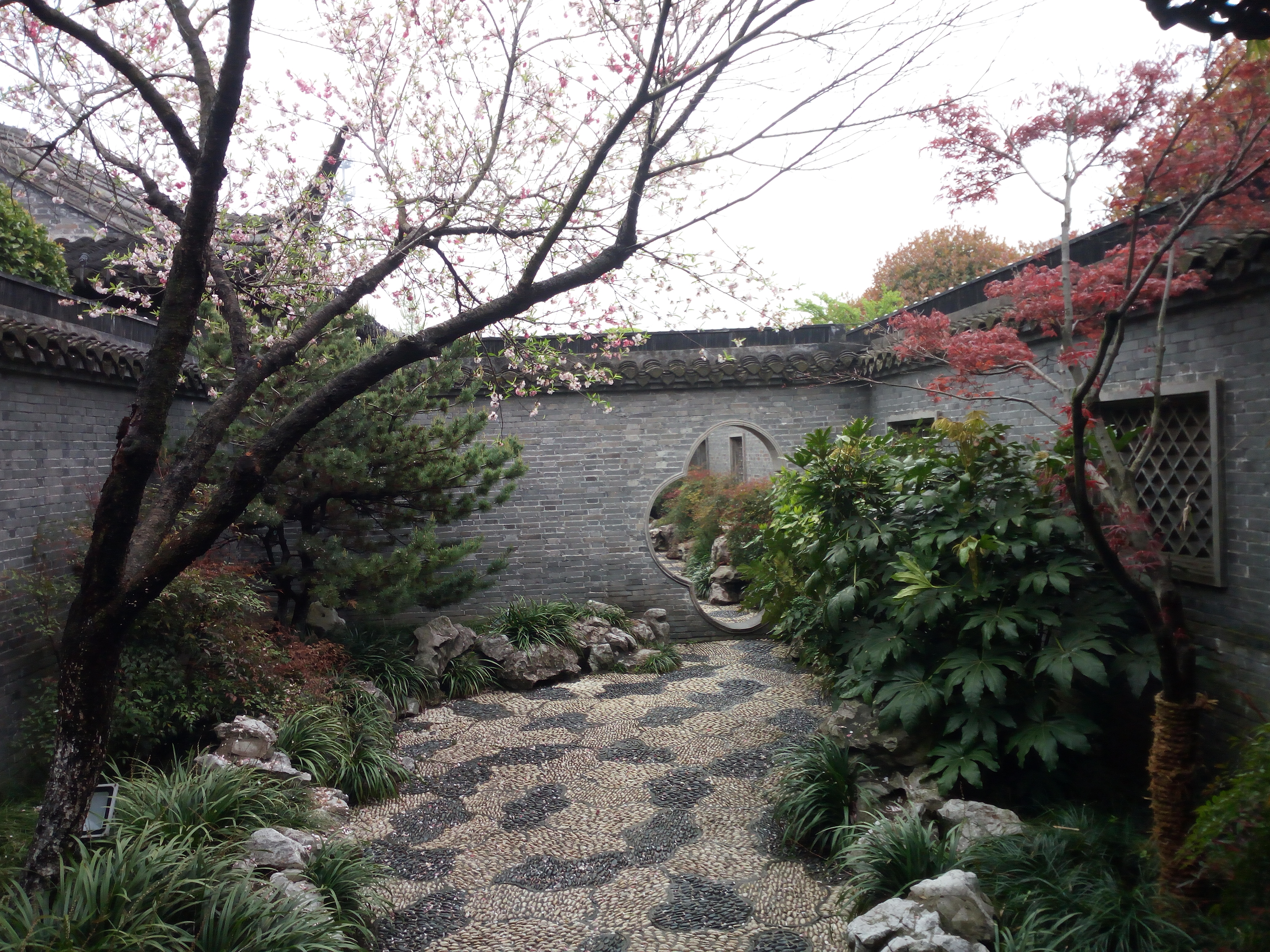 「花未眠61江苏的花」—桃花坞里桃花庵:泰州桃园