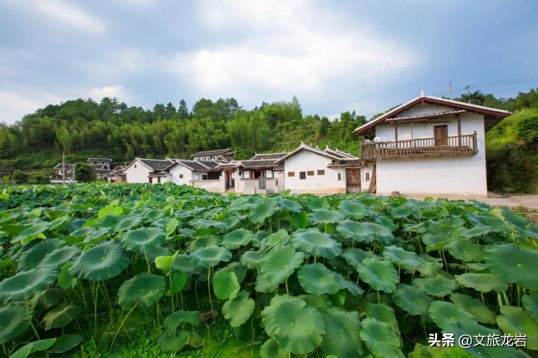 旅遊季撞上建軍節,龍巖紅色旅遊走起來