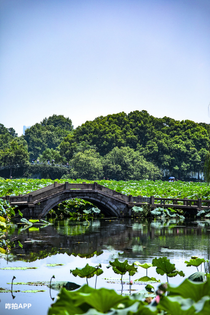杭州西湖深度游攻略,记录不一样的西湖十景(中)