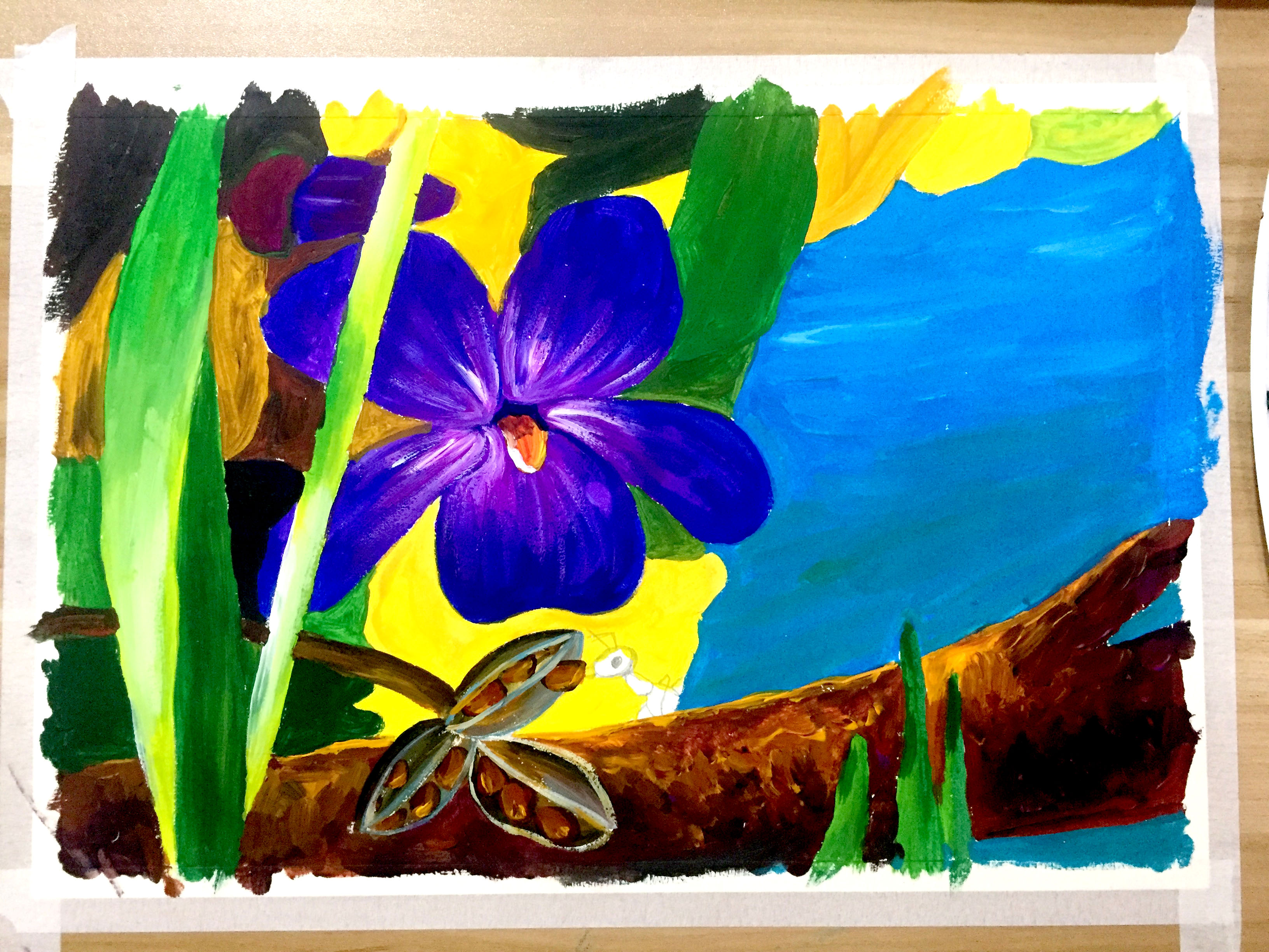 绘画 | 一粒种子的旅行