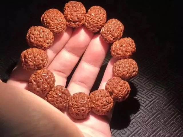 菩提树根本不结籽,何来菩提子,你戴的手串与人比较有啥意义?