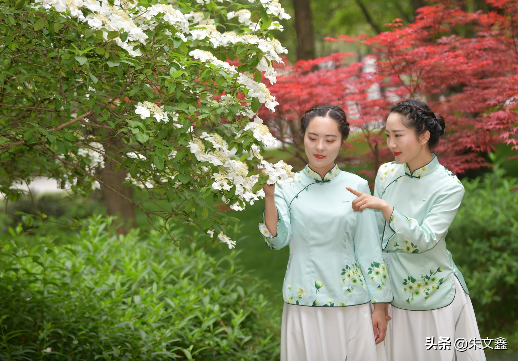 隋炀帝的最爱琼花,原来在扬州瘦西湖