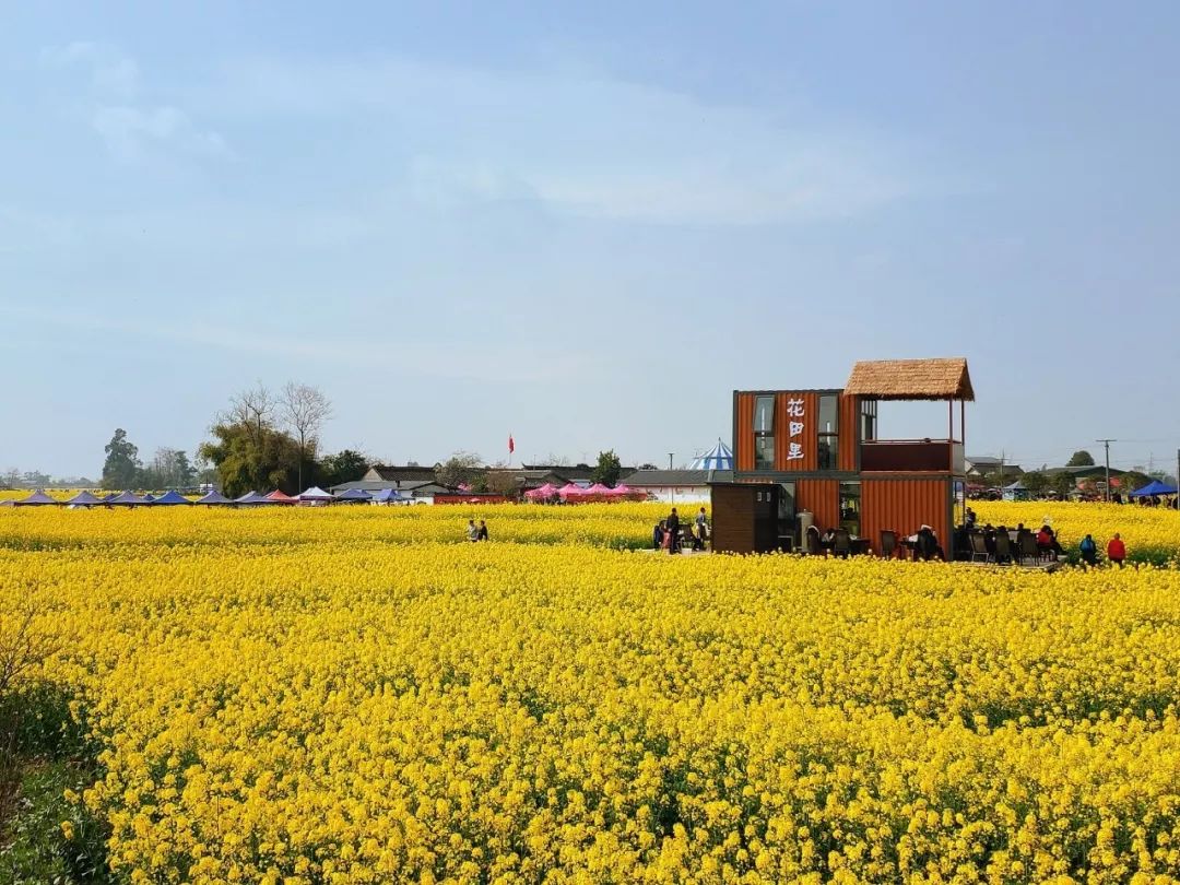 成都最值得打卡的公园_成都周边花海 - 密云旅游