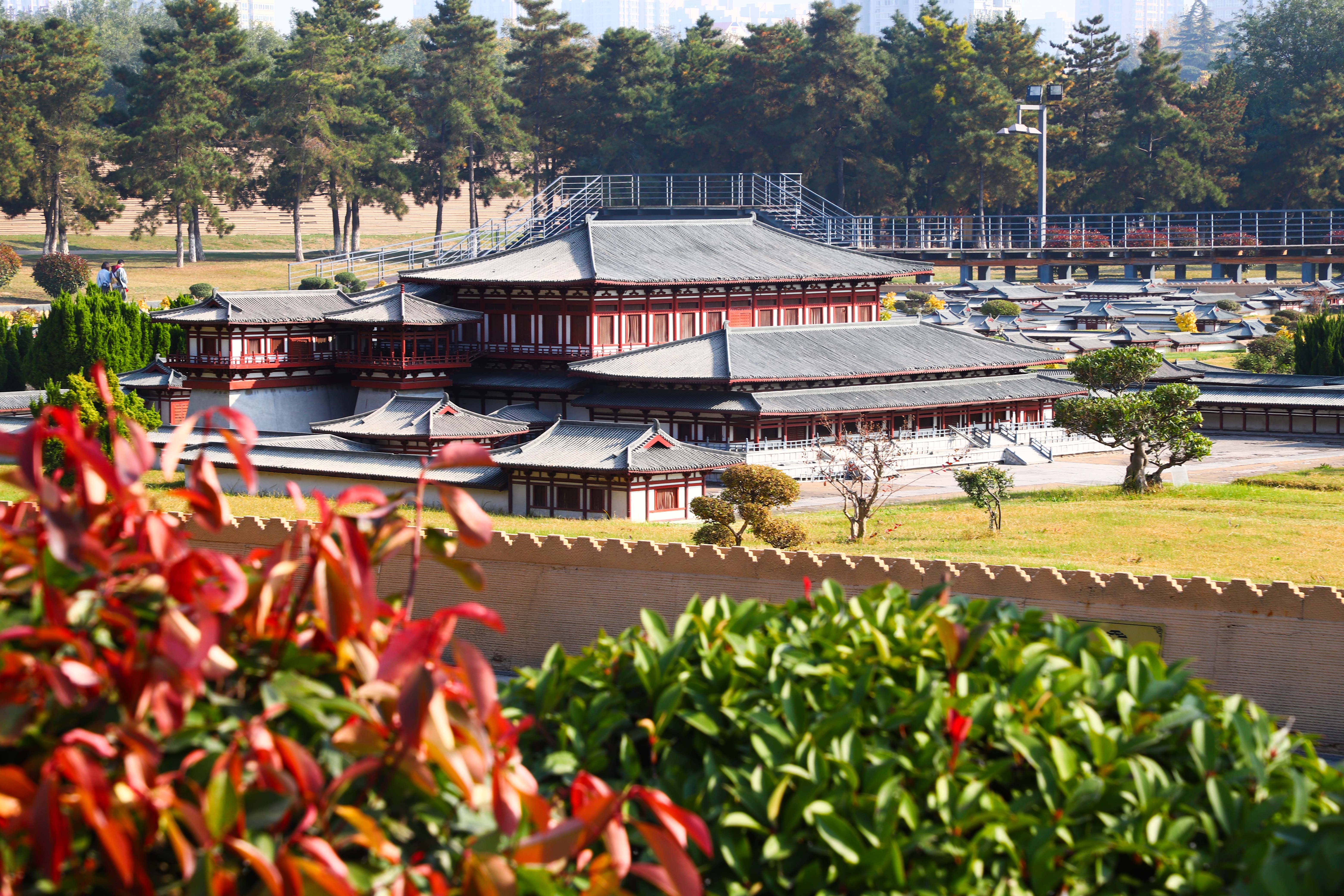 忆长安,两座宫殿 半部唐史!