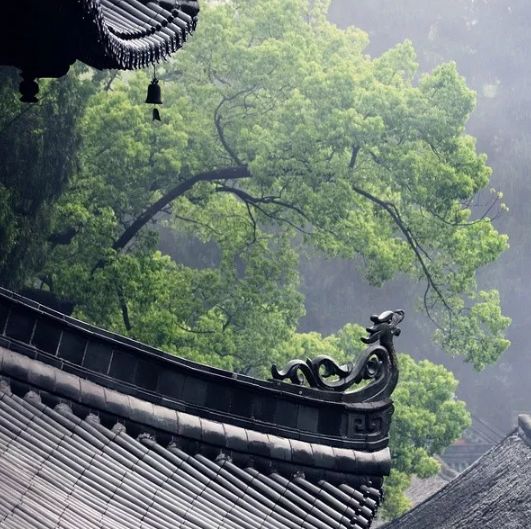 蝉这首诗表达了什么禅的意境的诗词