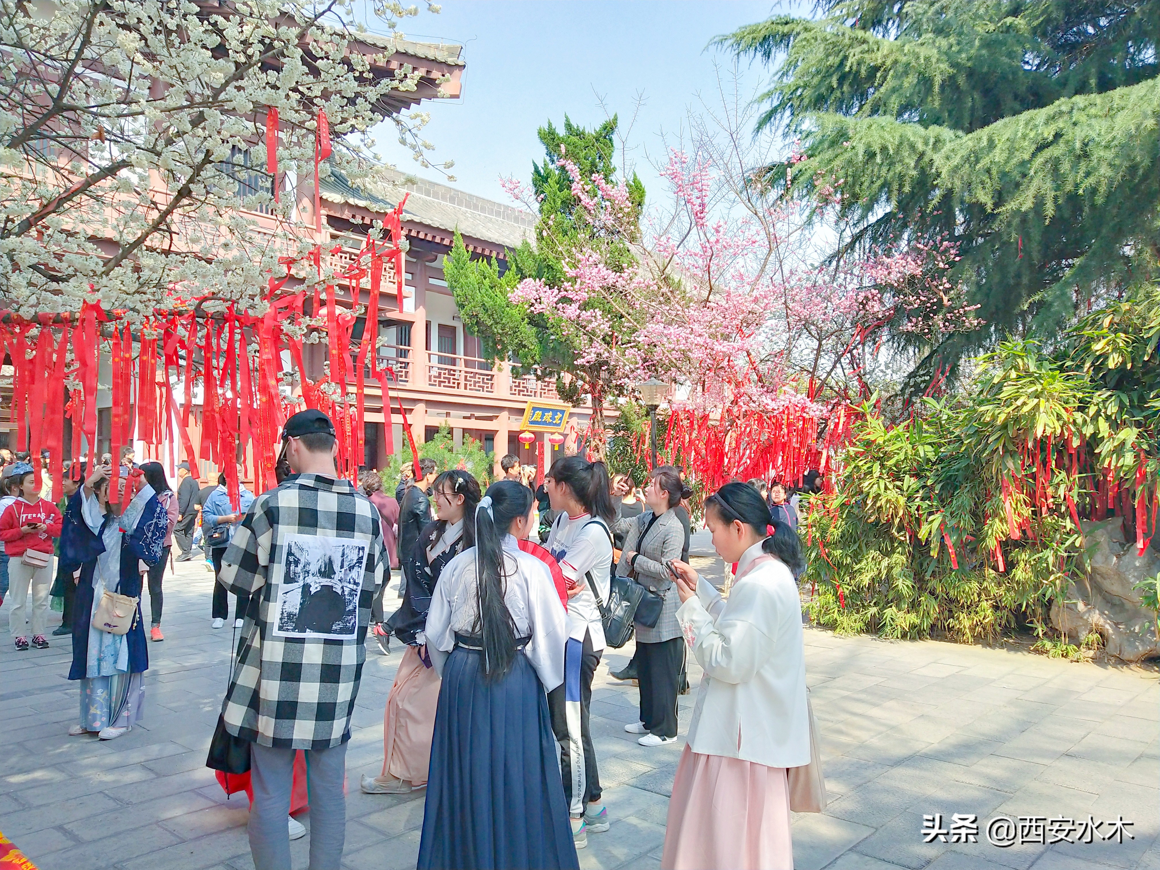 西安青龙寺，观赏樱花、礼佛祈福，门票免费