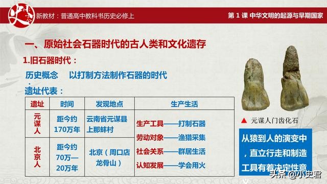 人教版高中历史新教材：中华文明的起源与早期国家「上篇」