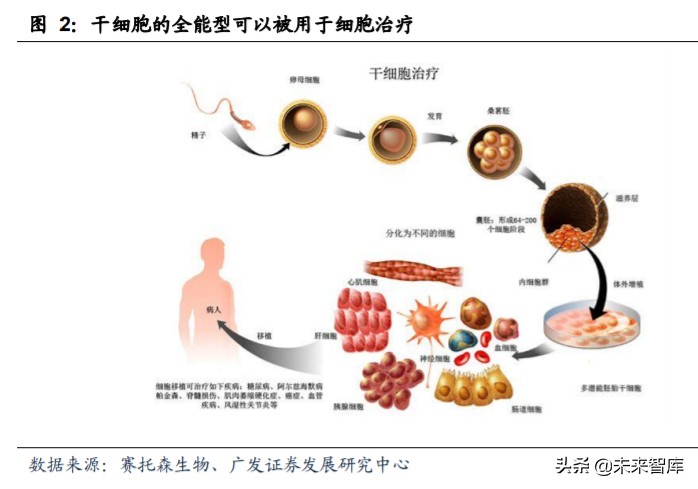 細胞和基因治療cdmo行業深度報告快速增長的新賽道