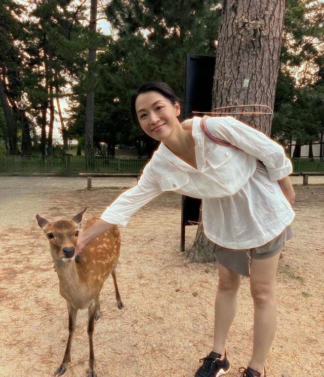 51-year-old Chen Wei traveled to Japan to feed deer, and was bitten by ...