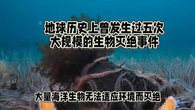 There have been five large-scale mass extinction events in the history ...