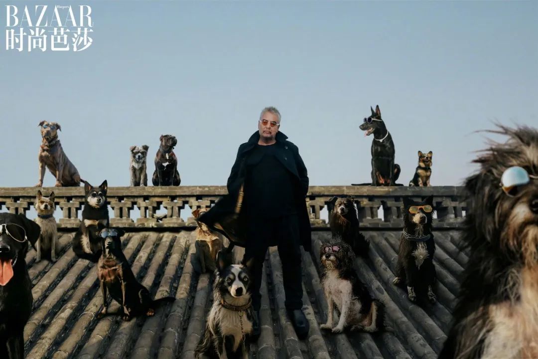 Besson Dog Humans are worse than dogs! Is it Luc Besson's best film in recent ...