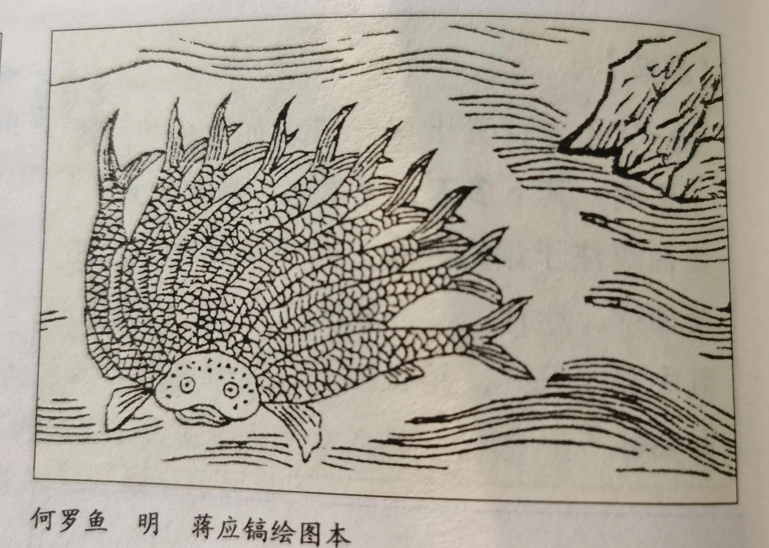 孟槐不是槐—《山海經》—《北山一經》40 - 頭條匯