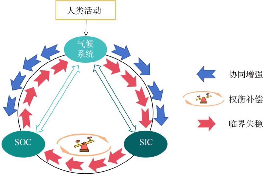 A New Perspective on Soil Carbon Cycles: From Fragmentation to Coupling ...