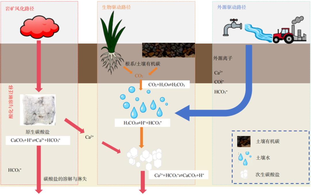 A New Perspective on Soil Carbon Cycles: From Fragmentation to Coupling ...