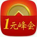 1元峰会 头像