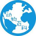动物百科 头像