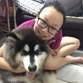 铁泥小宠 头像