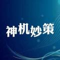 神机秒策 头像