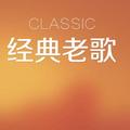 经典老歌追忆者 头像