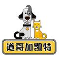 道哥加凯特 头像