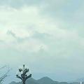 灵魂哥媒体号 头像