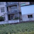 bcv21730331 头像