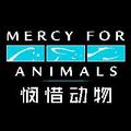 MFA悯惜动物 头像