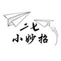 二七小妙招 头像