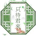 只待君来 头像