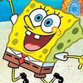 海绵动漫乐园 头像